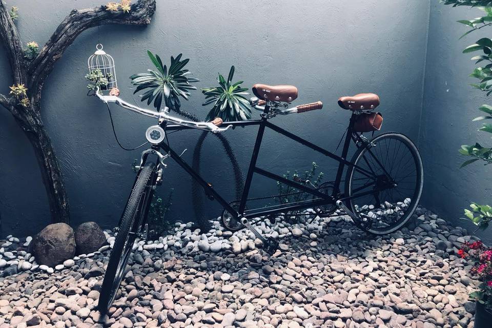 Bicycle Vintage