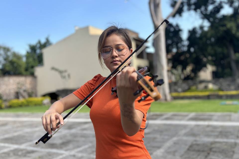Violín con pistas para tu boda