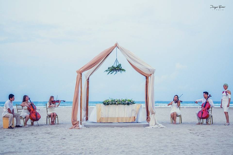 Boda civil en la playa