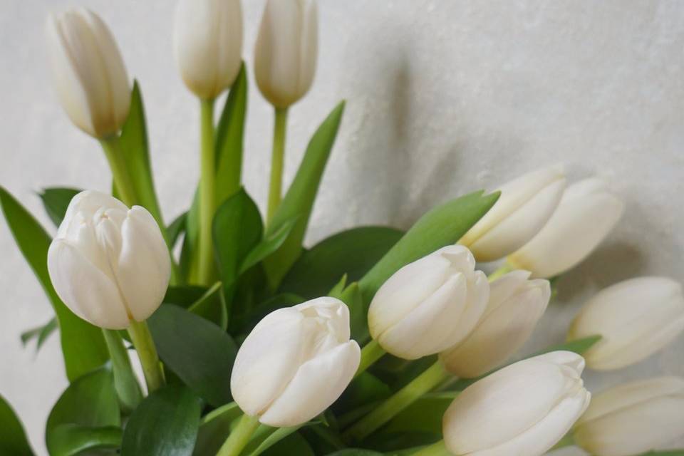 Flores frescas para decorar eventos