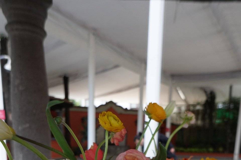 Flores frescas para decorar eventos