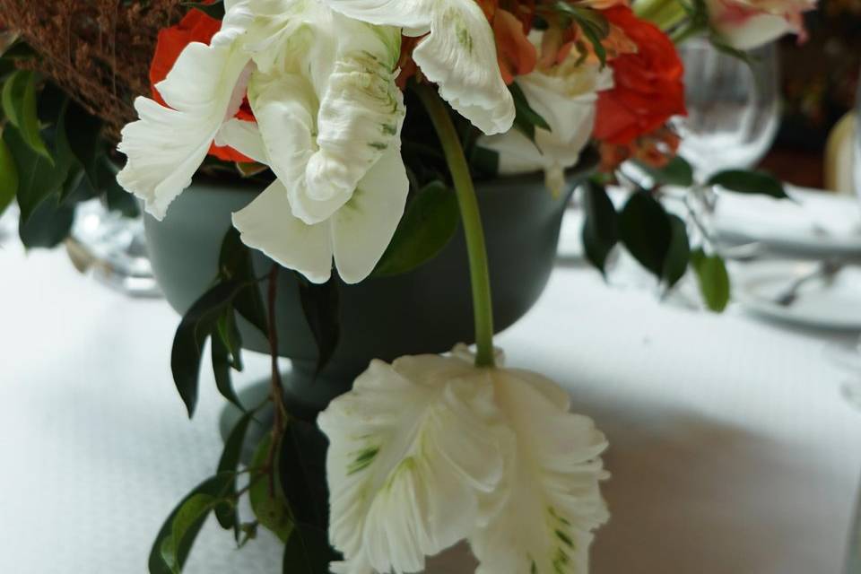 Flores frescas para decorar eventos
