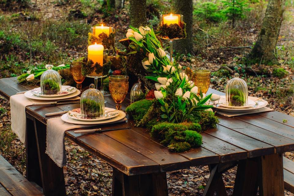 Boda verde en bosque