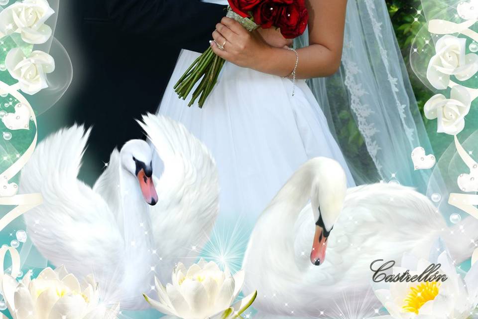 Mi boda