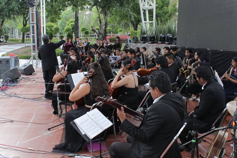 Enzastiga orquesta en concierto