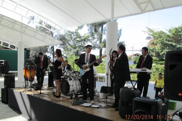 Enzastiga Orquesta Live