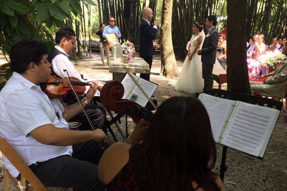 Música para bodas