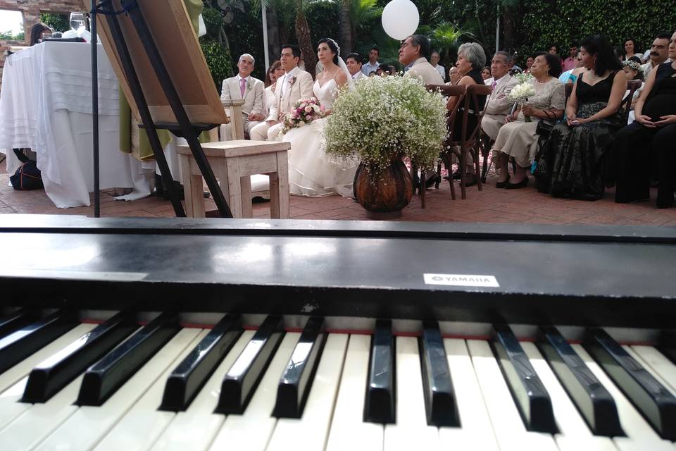 Misa en jardín, pianista