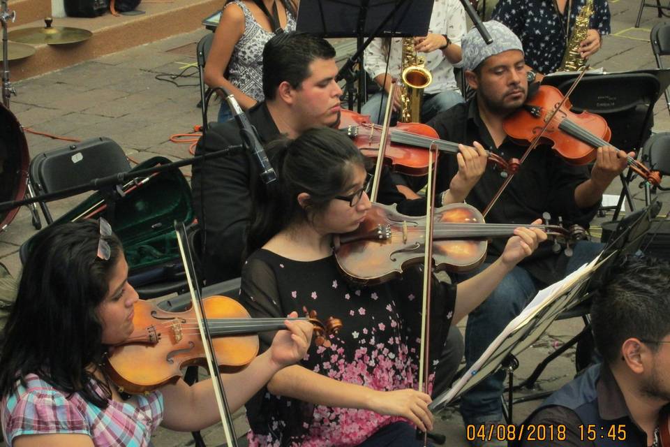 Ensayo orquesta cuerdas