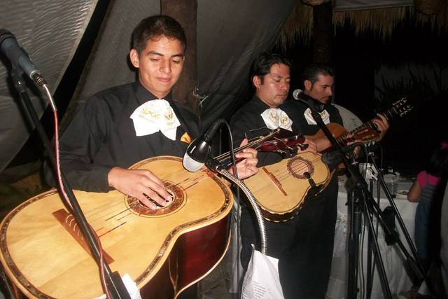 Música totalmente en vivo