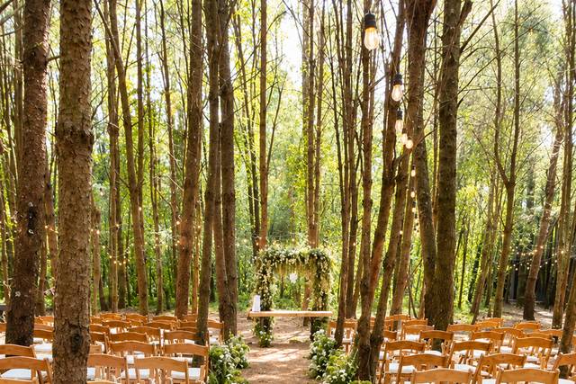 Boda en el bosque
