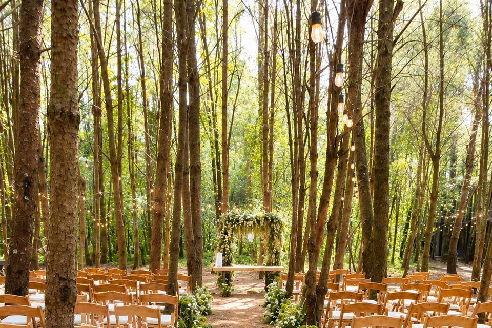 Boda en el bosque
