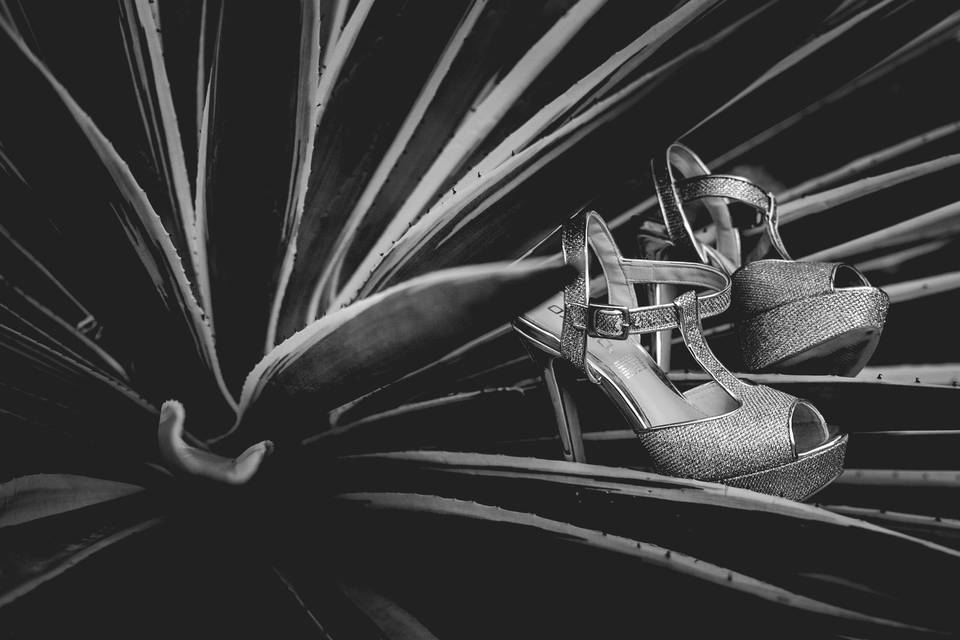 Zapatillas en un maguey