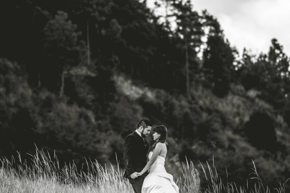 Novios agarrados de la mano en un campo