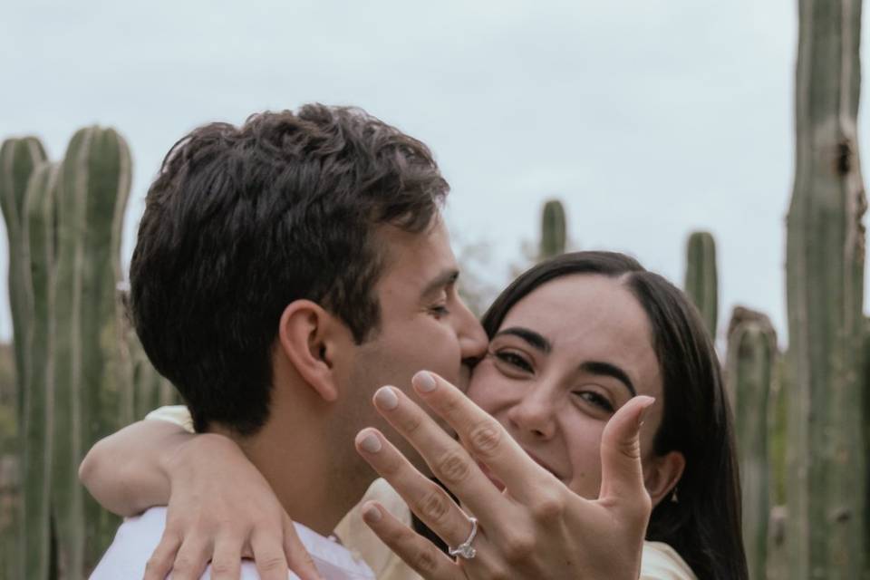 Proposal