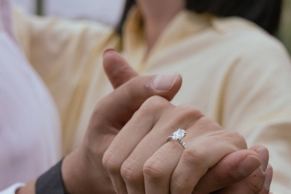 Anillo
