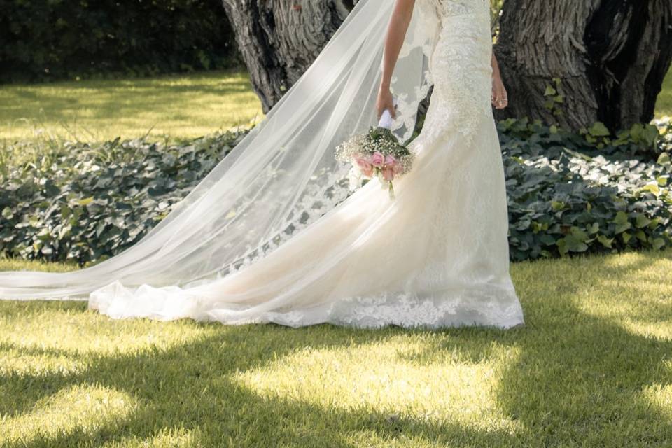 Novia