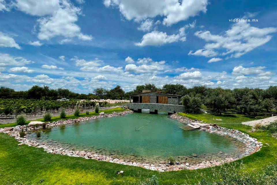 Lago con jardín