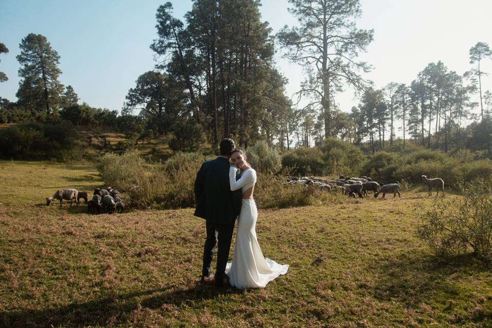 Wedding