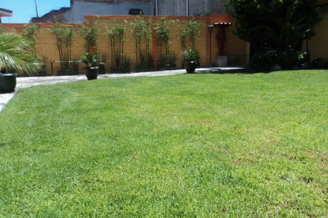 Jardín cuidado