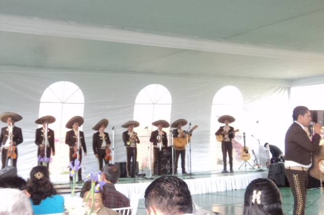 Mariachi y grupos