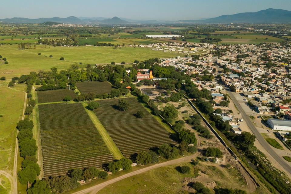 Hacienda Amazcala