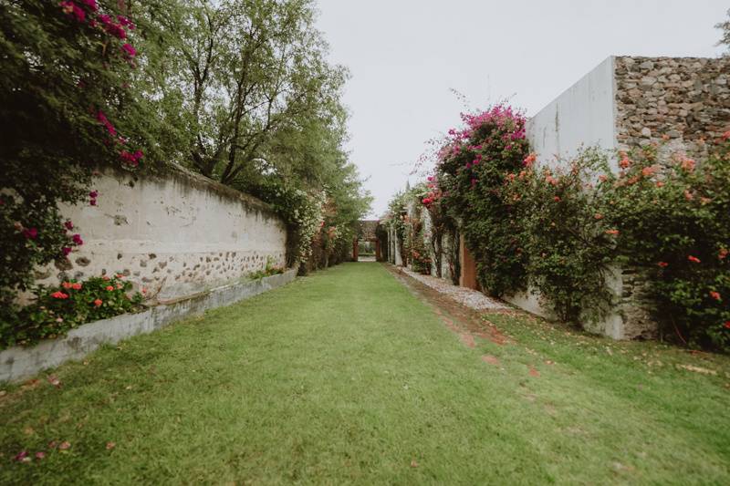 Pasillo jardín