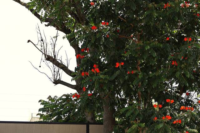 Sosiego Oaxaca Stay & Events
