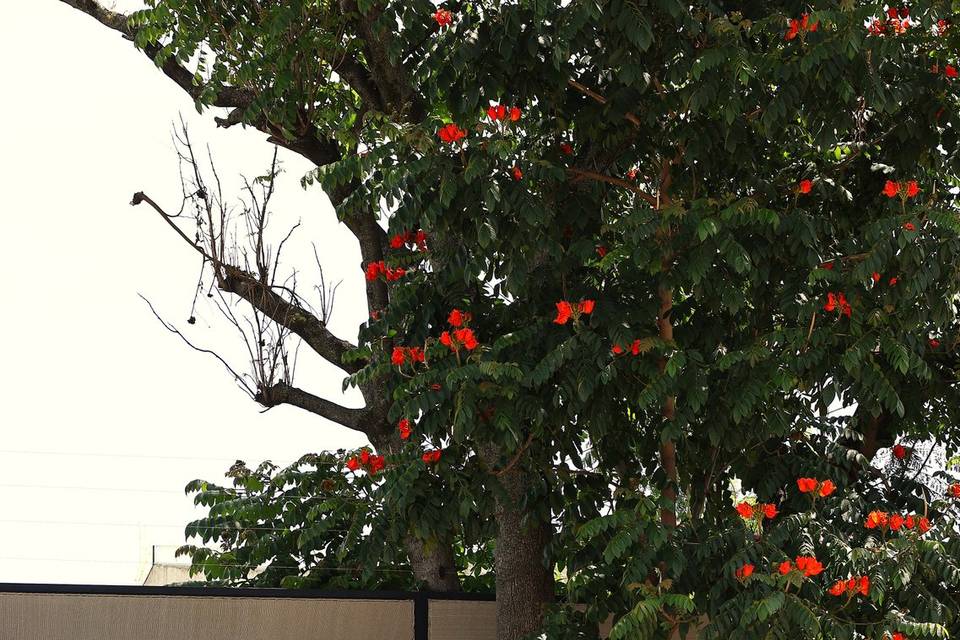 Sosiego Oaxaca Stay & Events