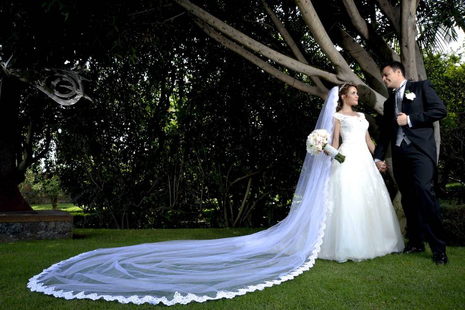 NOVIOS