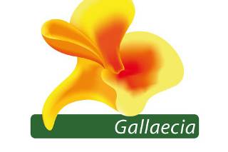 Gallaecia logo