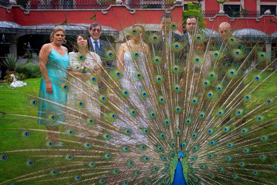 Fotografía de boda