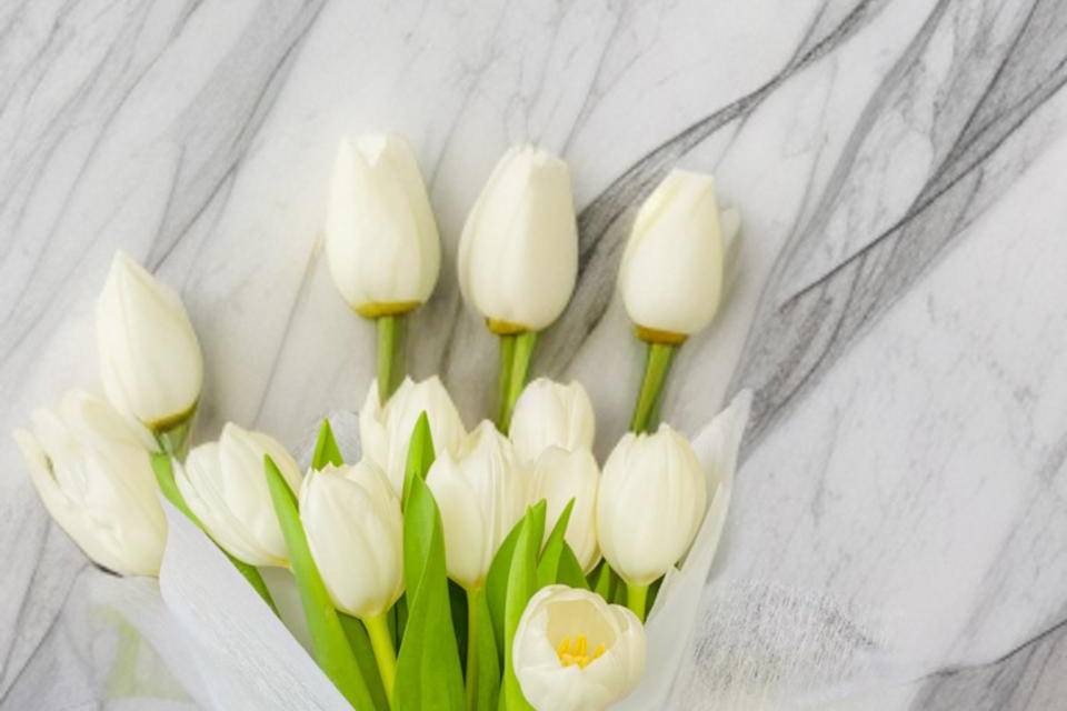 Tulipanes