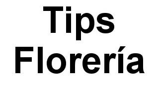 Tips Florería