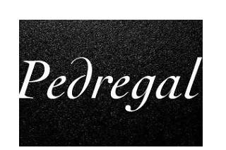 Salón Pedregal logo