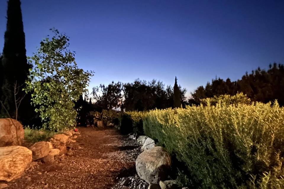 Caminos entre los jardines