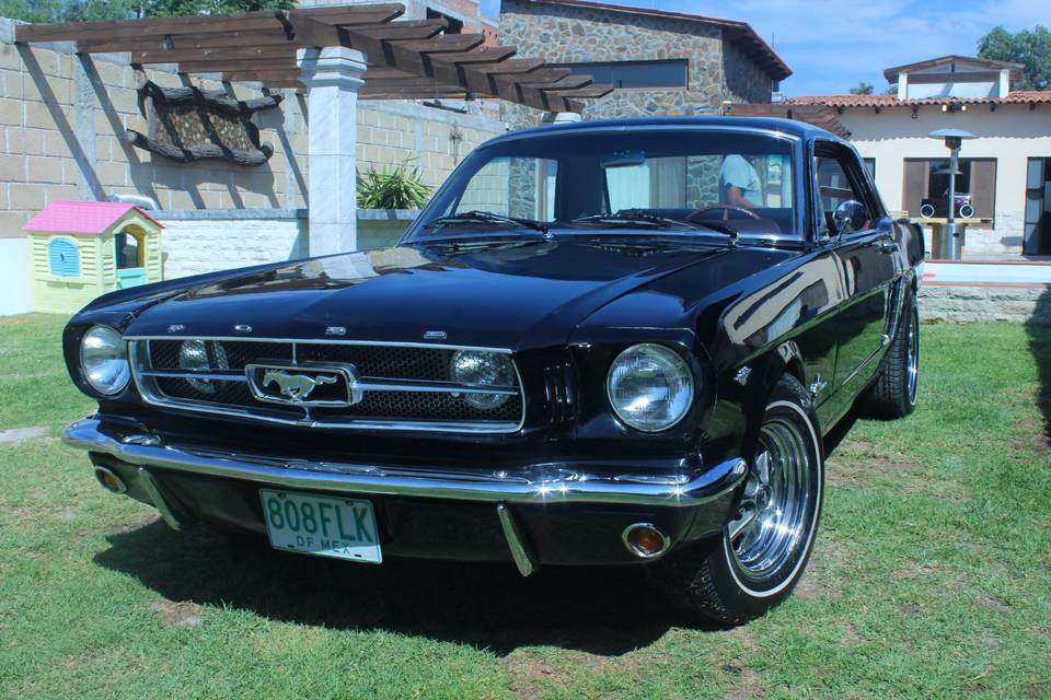 Mustang negro 1964. 5