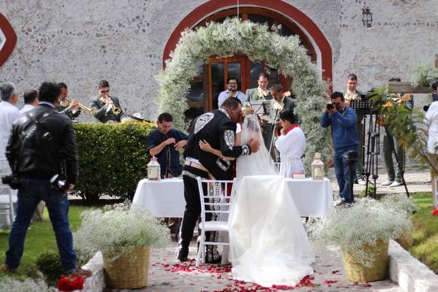Novios
