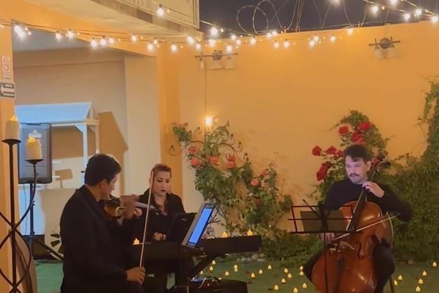 Violín, chelo y piano