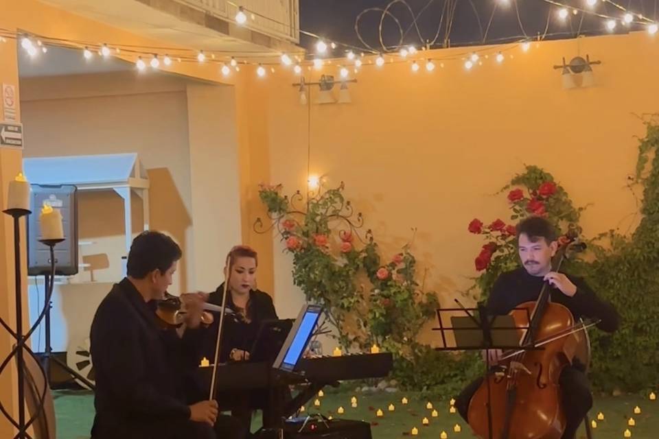 Violín, chelo y piano