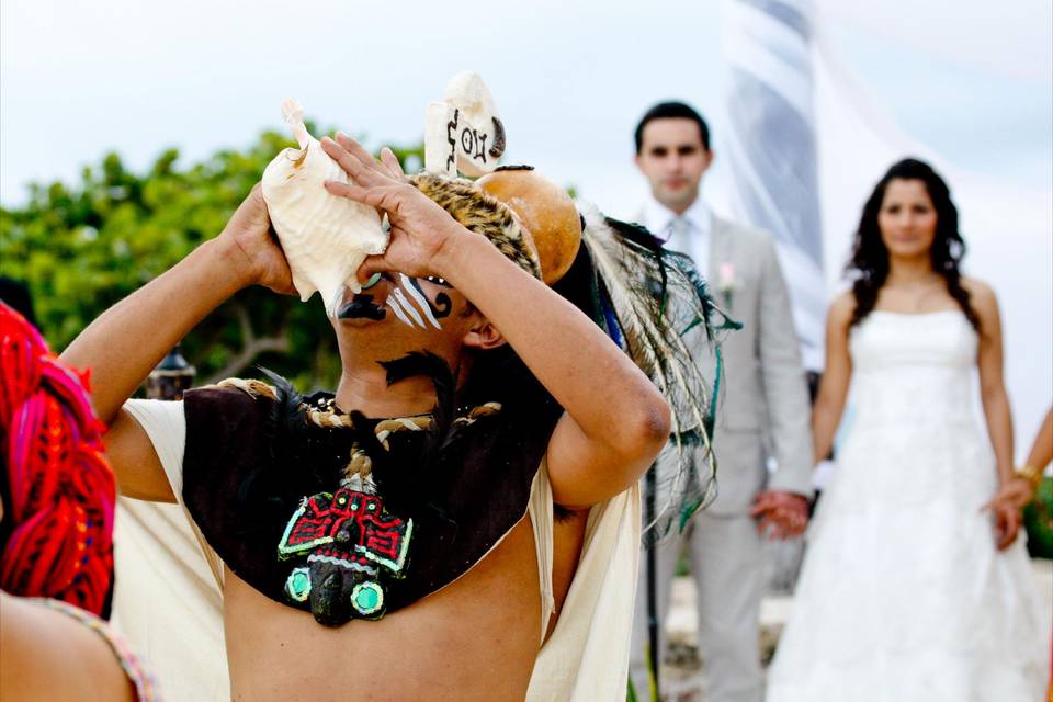 Wedding