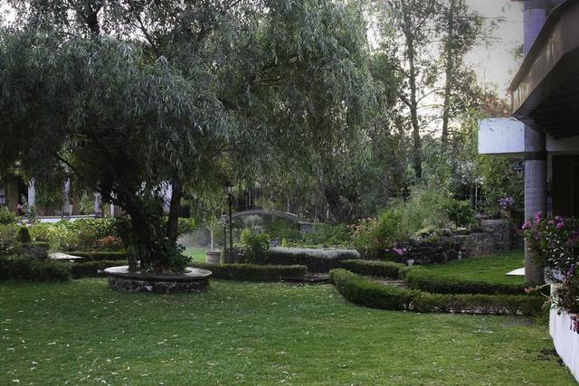 Jardin
