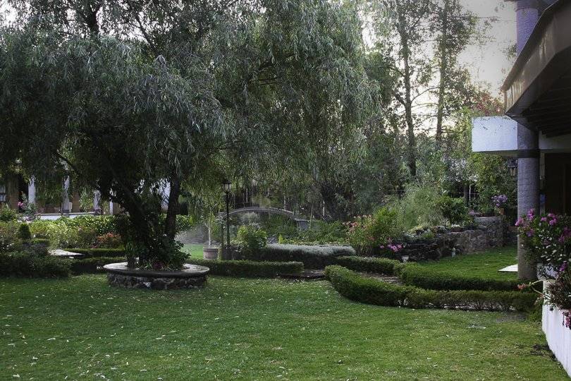 Jardín de Los Olivos