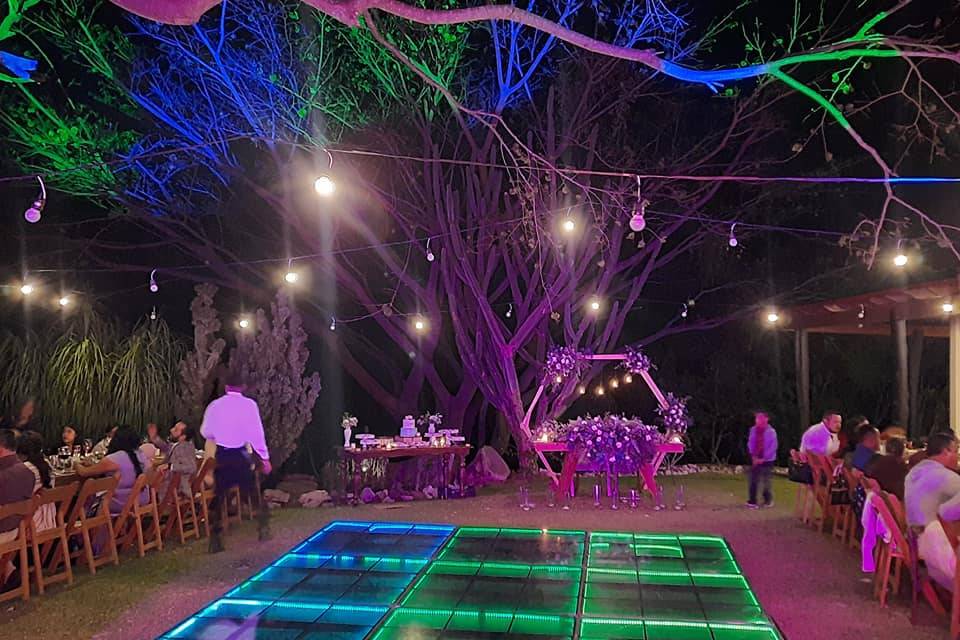 Pista de baile cristal