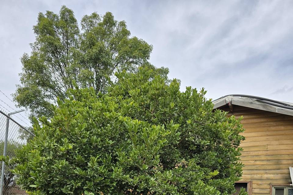 Terraza y cabañas Capricho