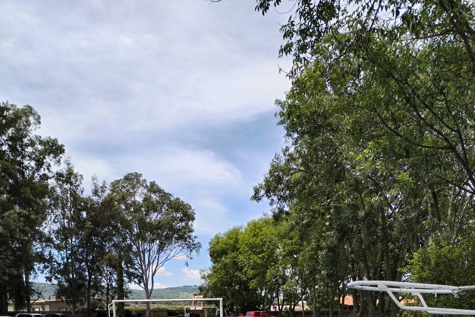 Alberca