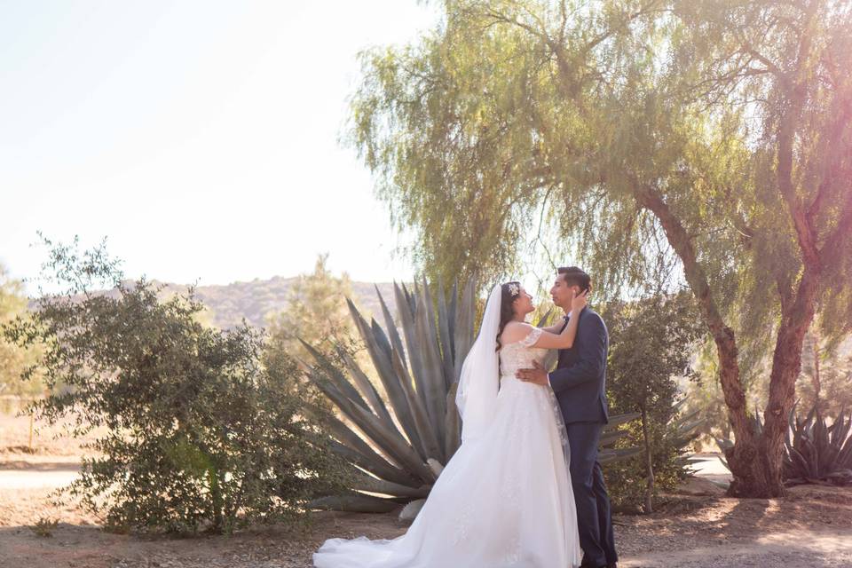 Wedding day