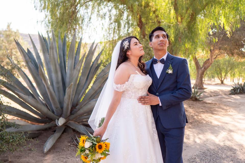 Wedding day