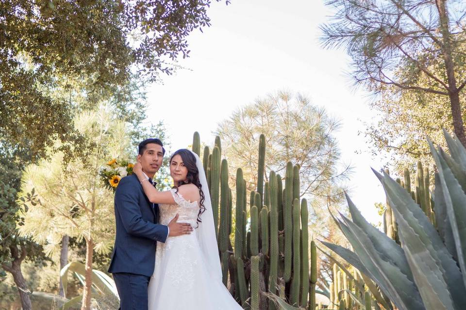 Wedding day