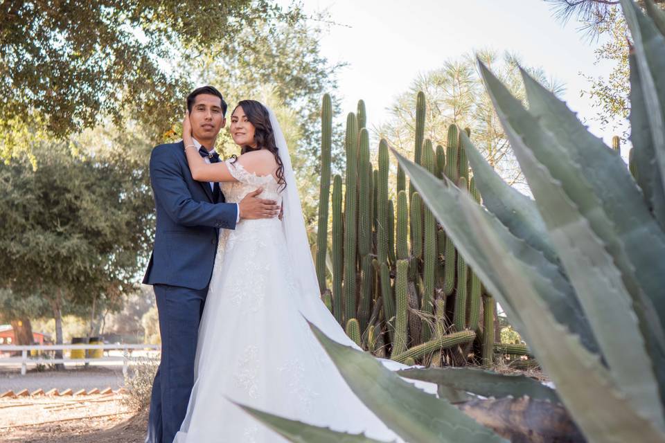 Wedding day